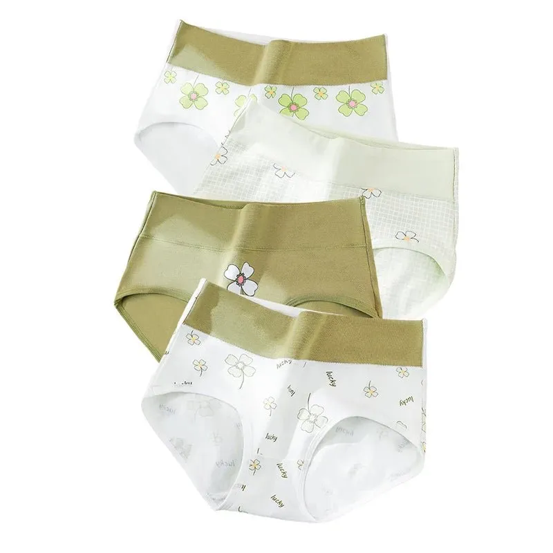 4pcs Breathable High Waist Cotton Women Panties, Sizes M-5XL