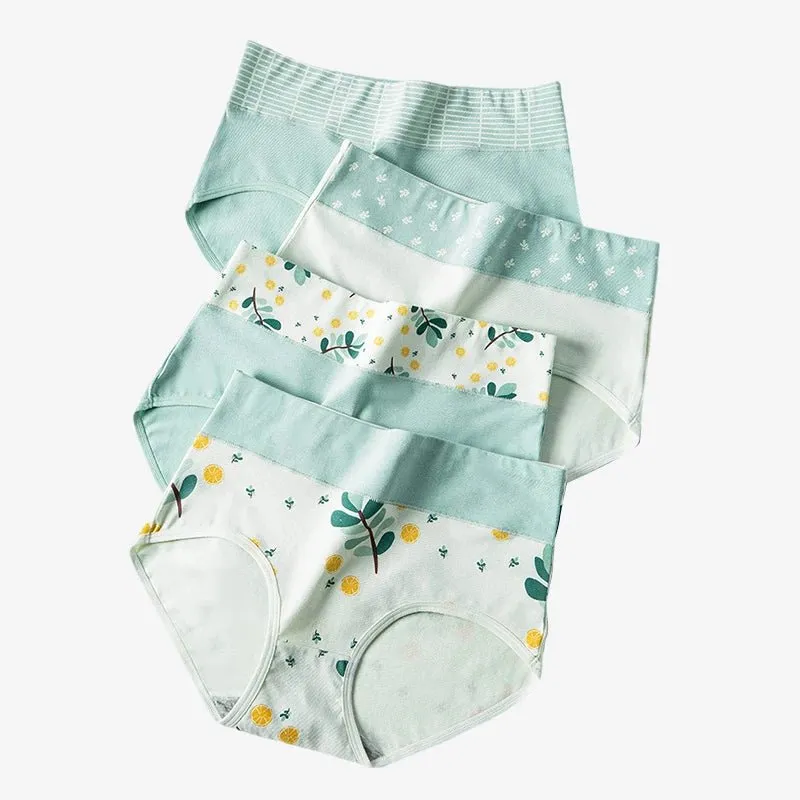 4pcs Breathable High Waist Cotton Women Panties, Sizes M-5XL