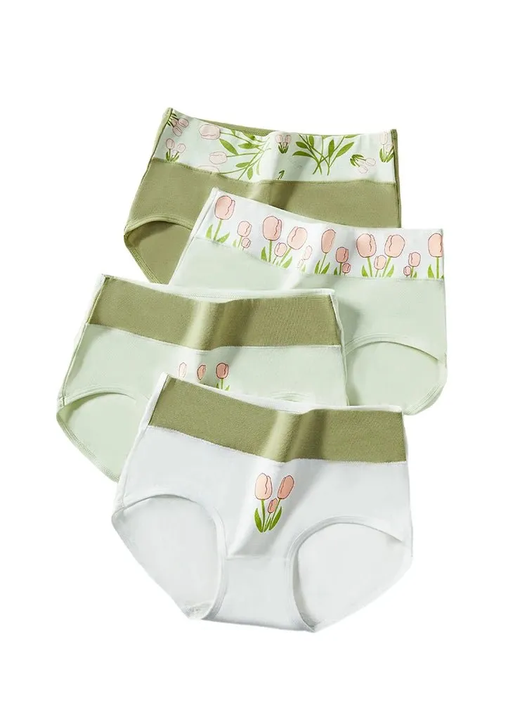 4pcs Breathable High Waist Cotton Women Panties, Sizes M-5XL