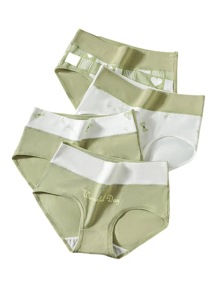 4pcs Breathable High Waist Cotton Women Panties, Sizes M-5XL