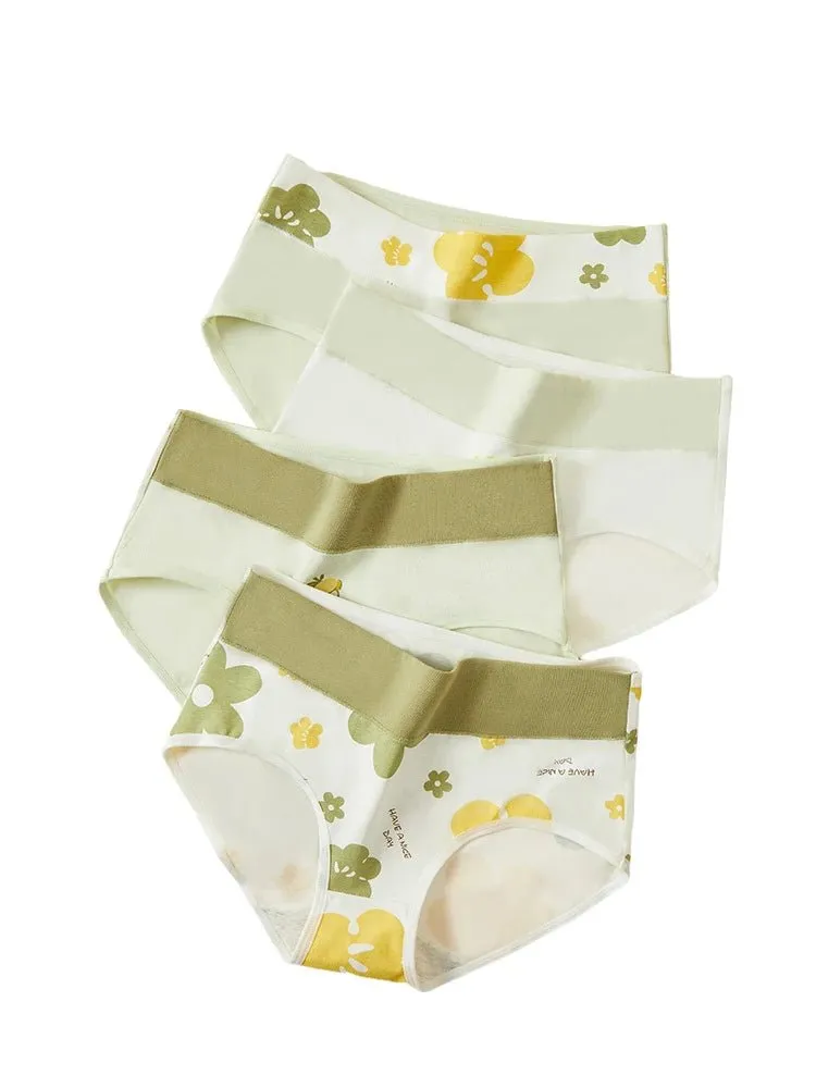 4pcs Breathable High Waist Cotton Women Panties, Sizes M-5XL