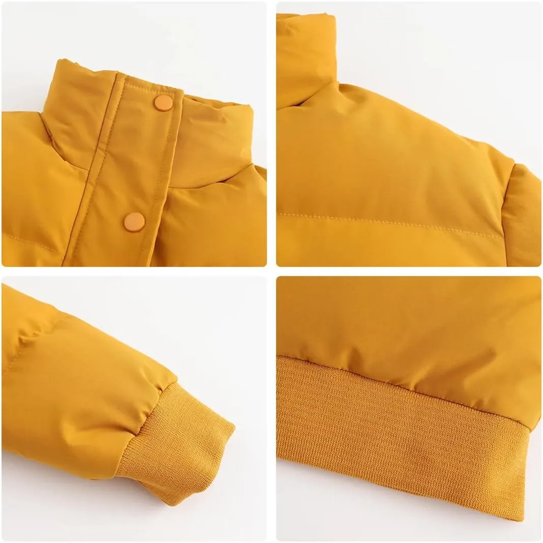 Autumn Winter Turtleneck Warm Down Cotton Coat Womens Long Sleeve Puffer Parkas Short Cotton Jacket