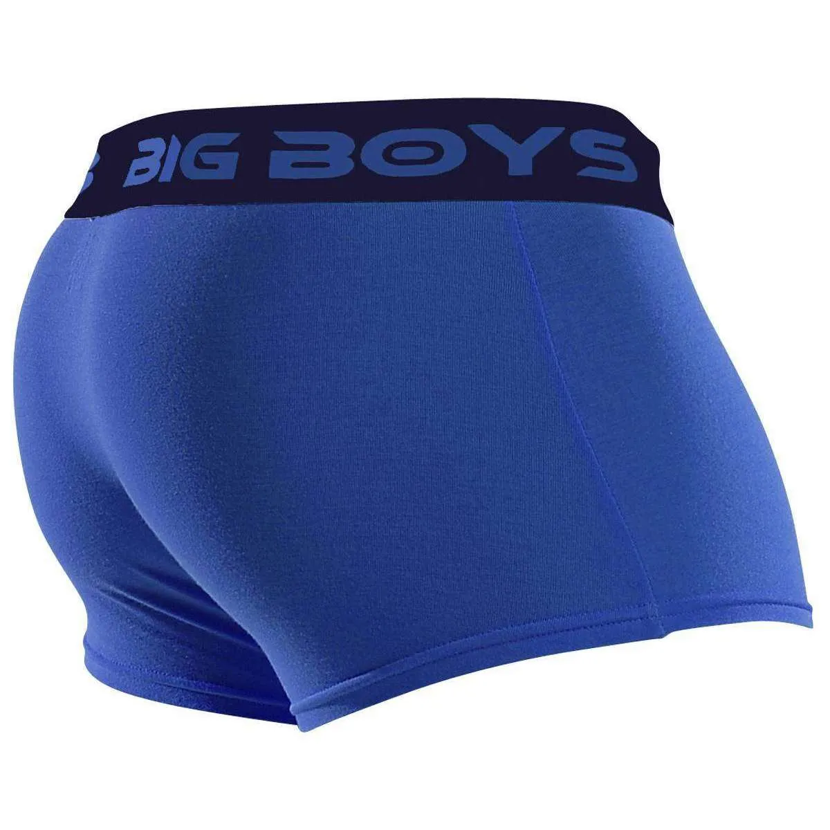 Big Boys Low Rise Briefs - Royal Blue