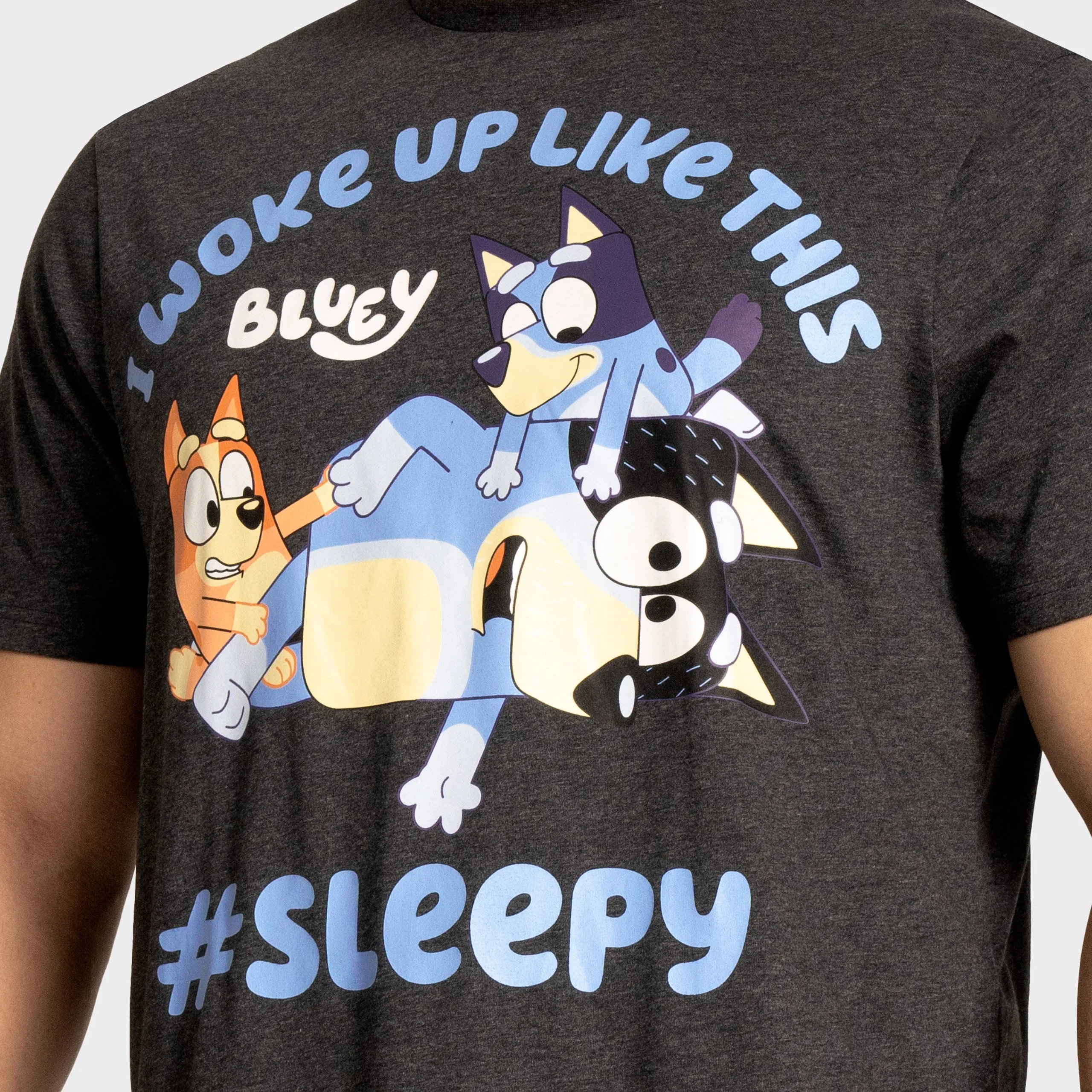 Bluey Mens Short Sleeve Pajamas