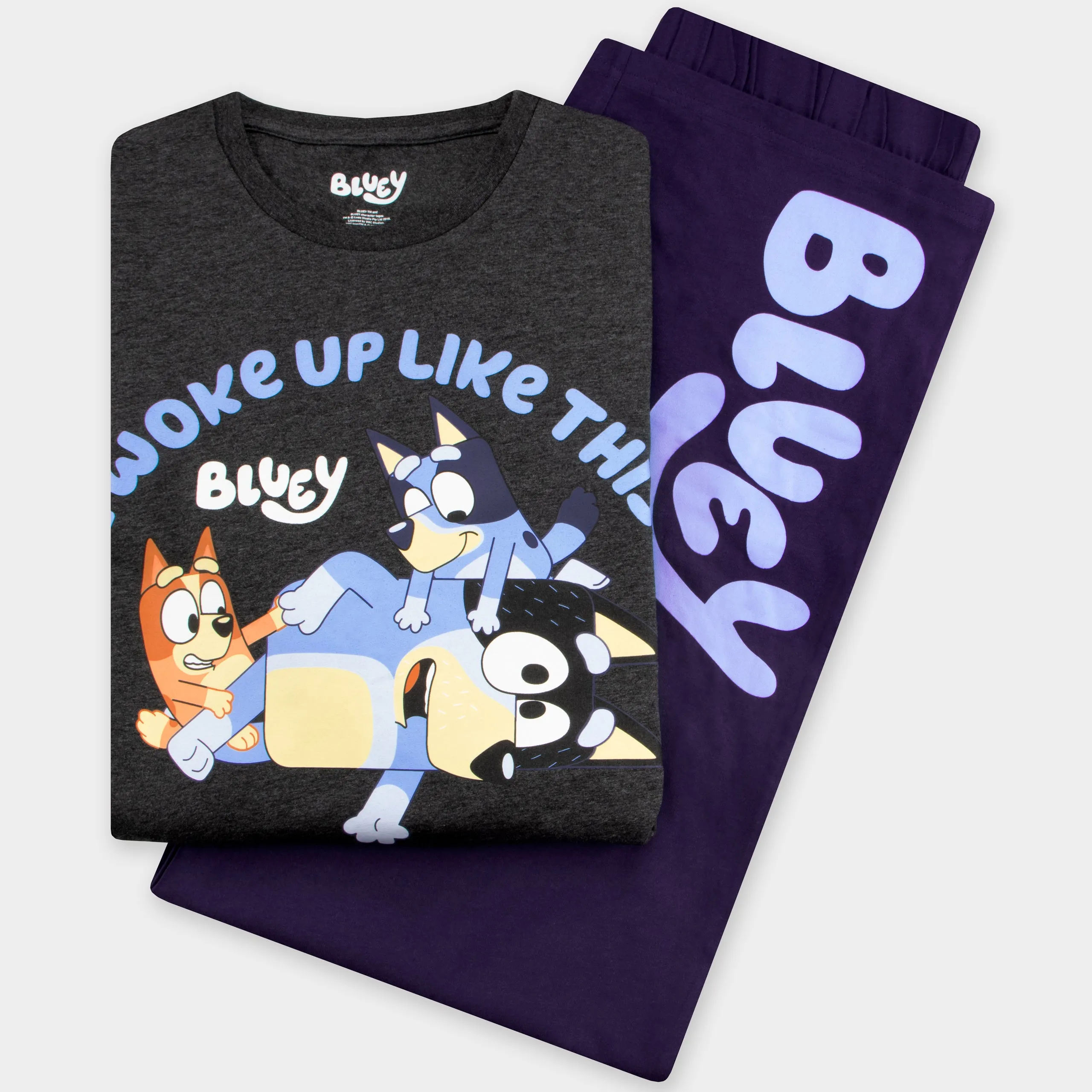 Bluey Mens Short Sleeve Pajamas