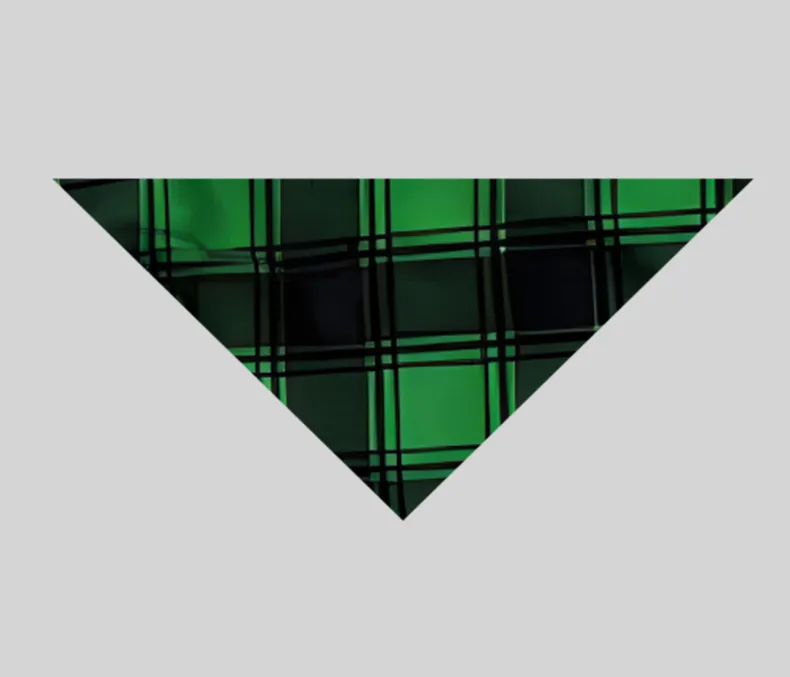 Christmas ‘ Family Christmas 2024’ Letter Print Patterned  Casual Long Sleeve Sweatshirts Green Contrast Tops and Black and Green Plaid Pants  Family Matching Raglan Long-sleeve Pajamas Sets With Dog Bandana