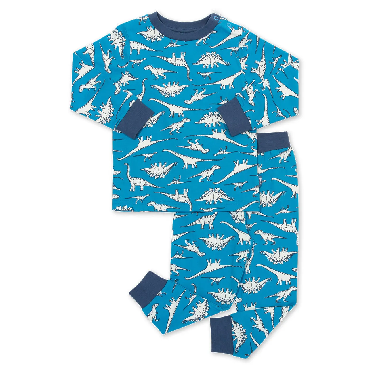 Dinosaur pajamas