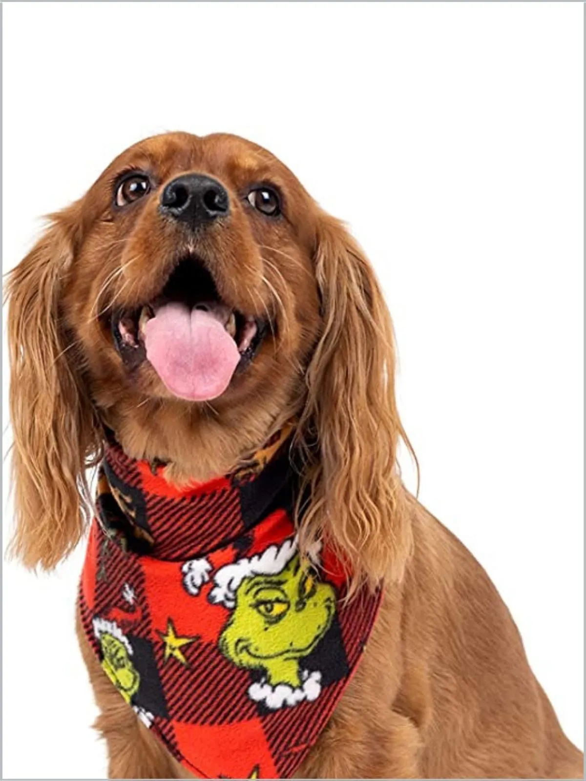 Family Matching Grinch Pajamas and  Socks Set