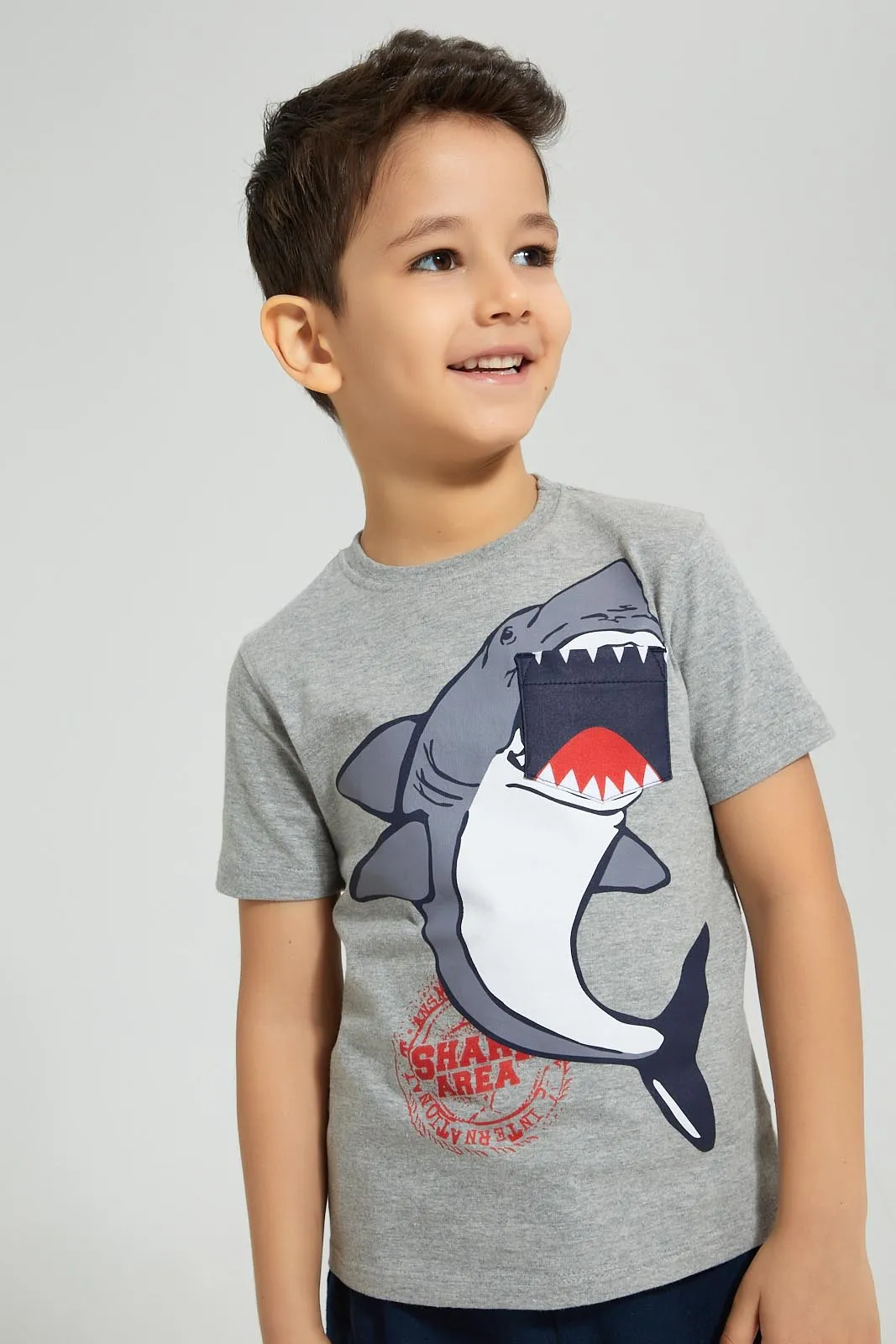 Grey And Navy Shark Casual Set (2 Piece)