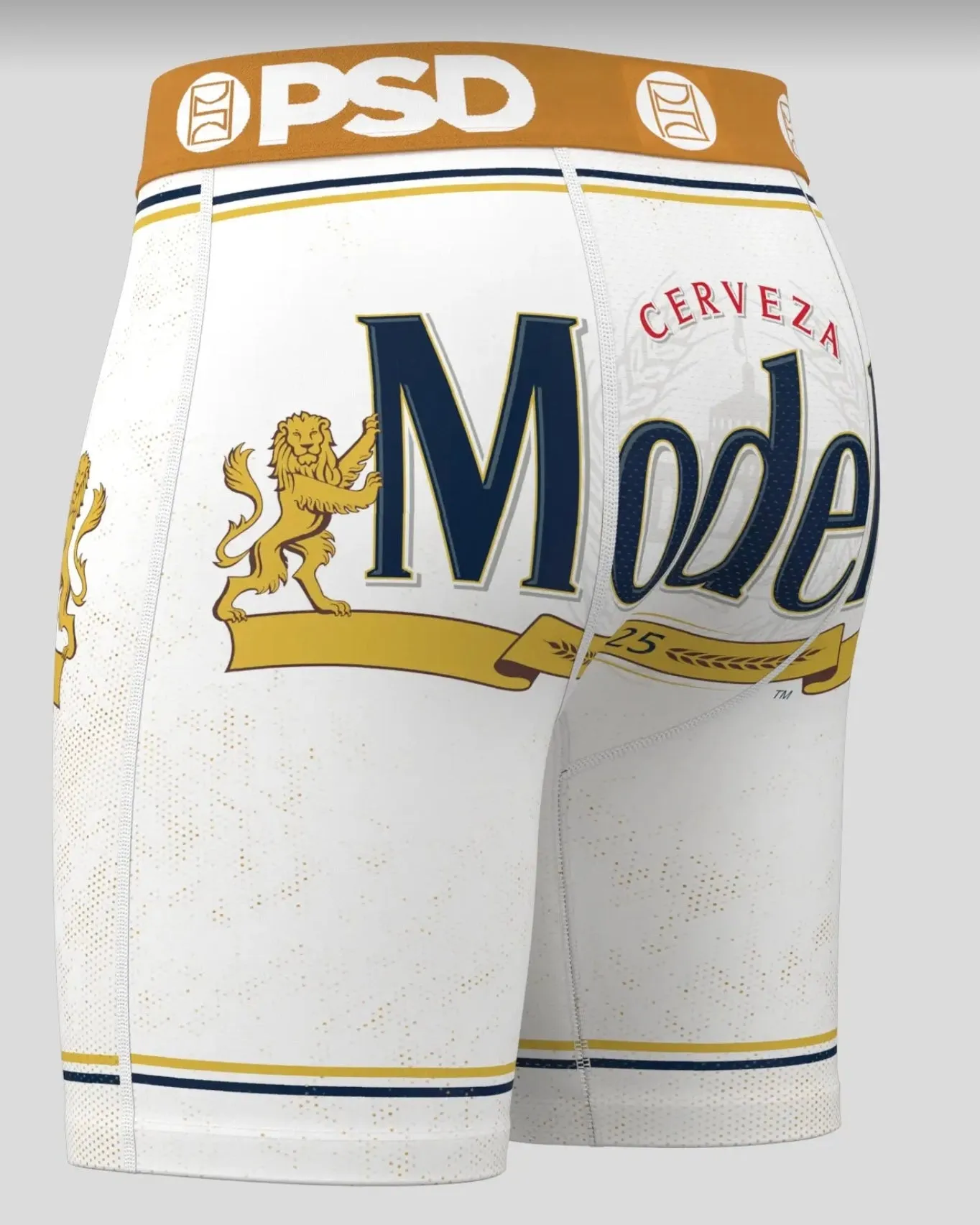 Modelo Briefs