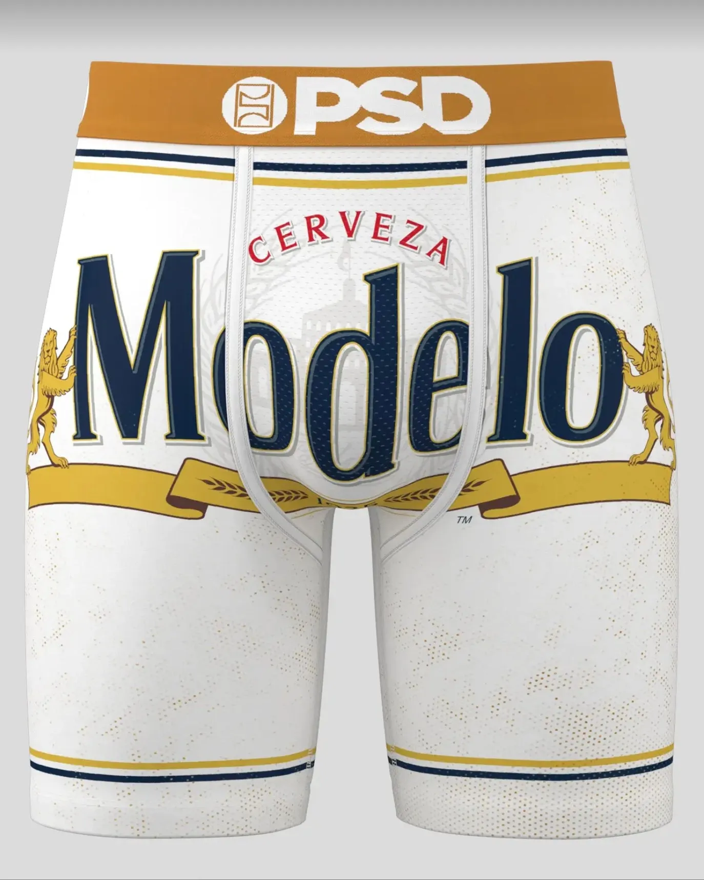 Modelo Briefs
