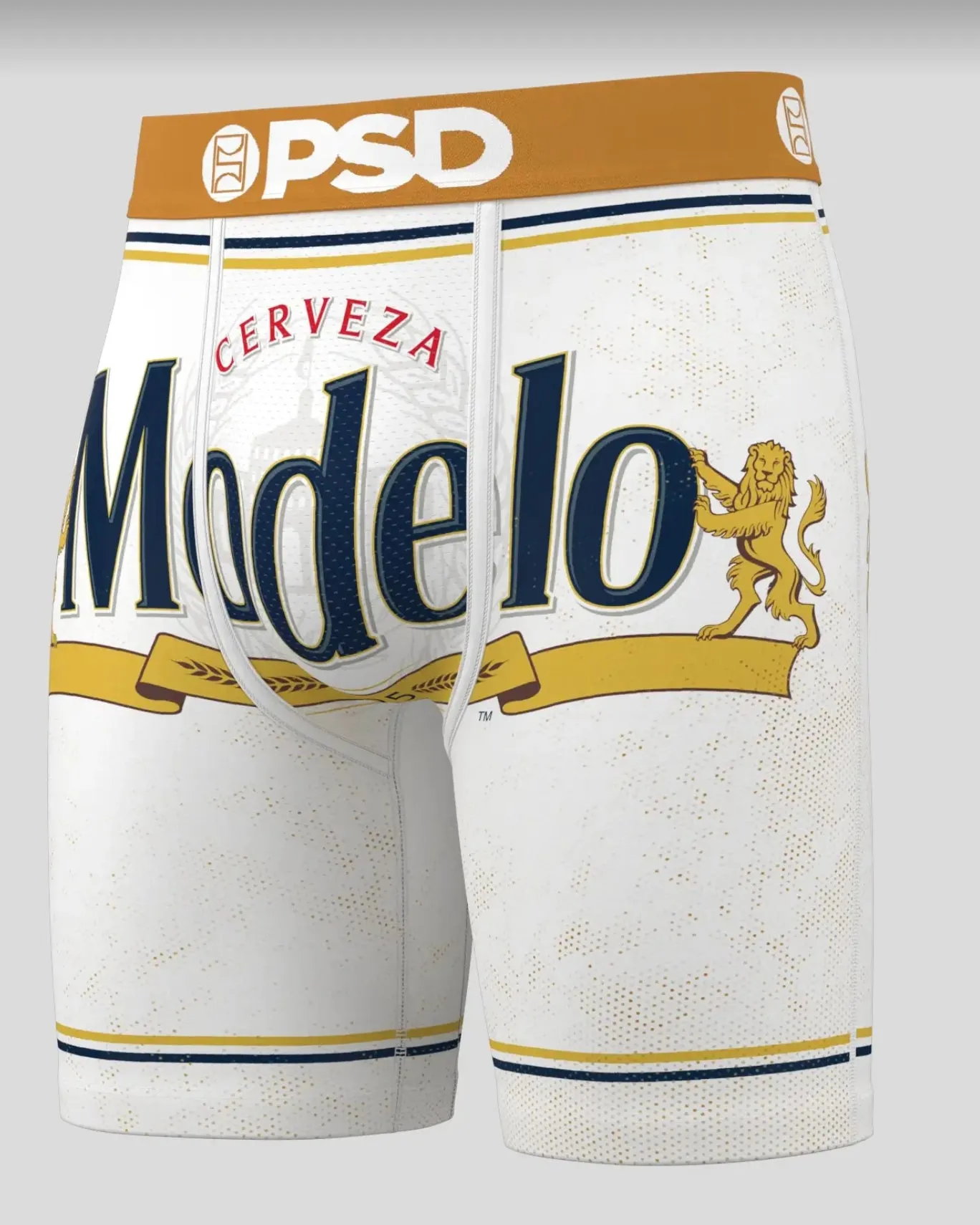 Modelo Briefs