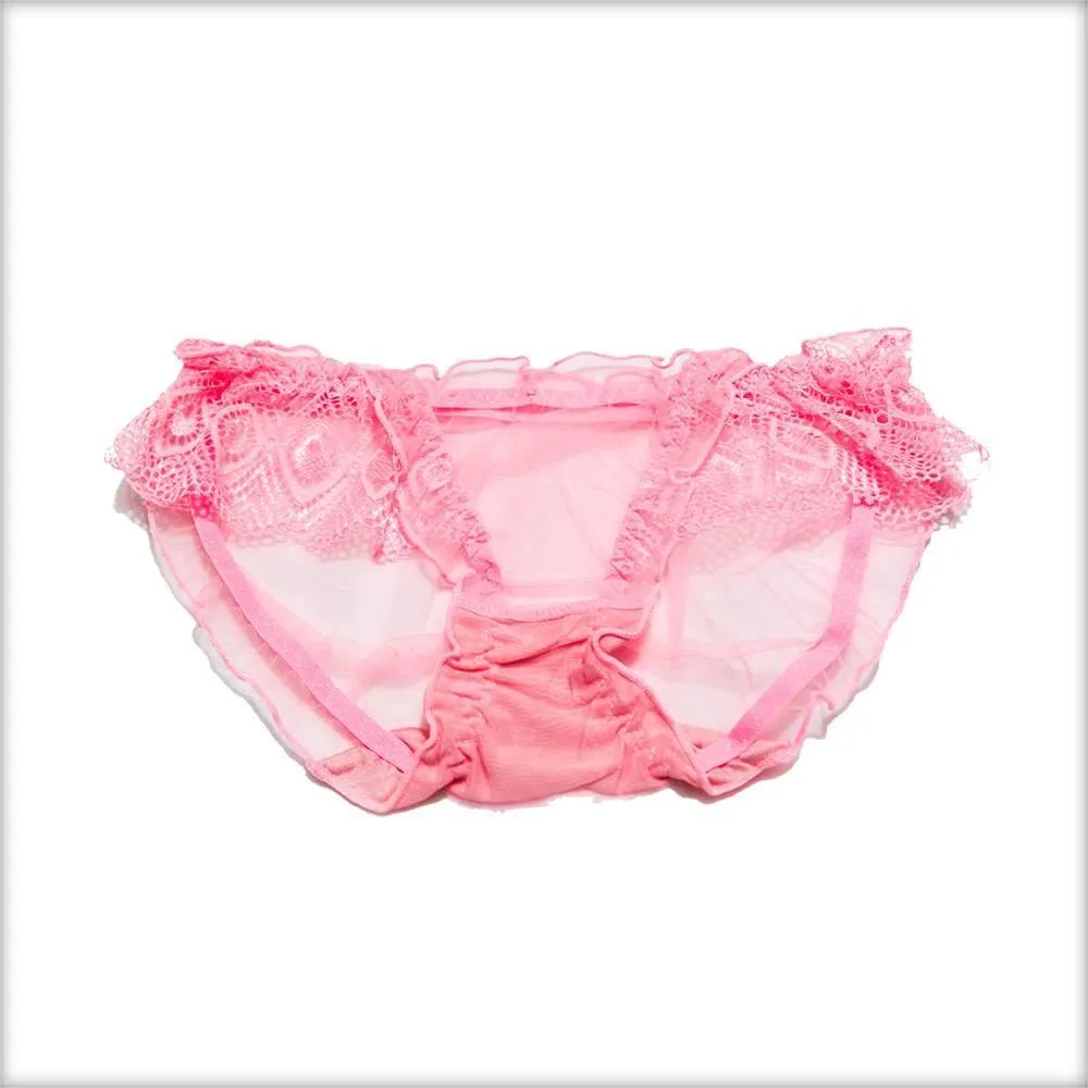 Net Transparent Blue Panty