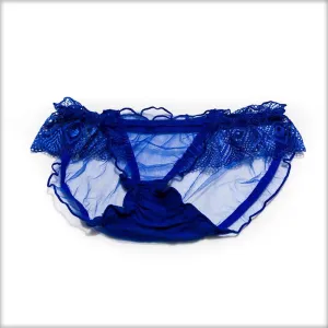 Net Transparent Blue Panty