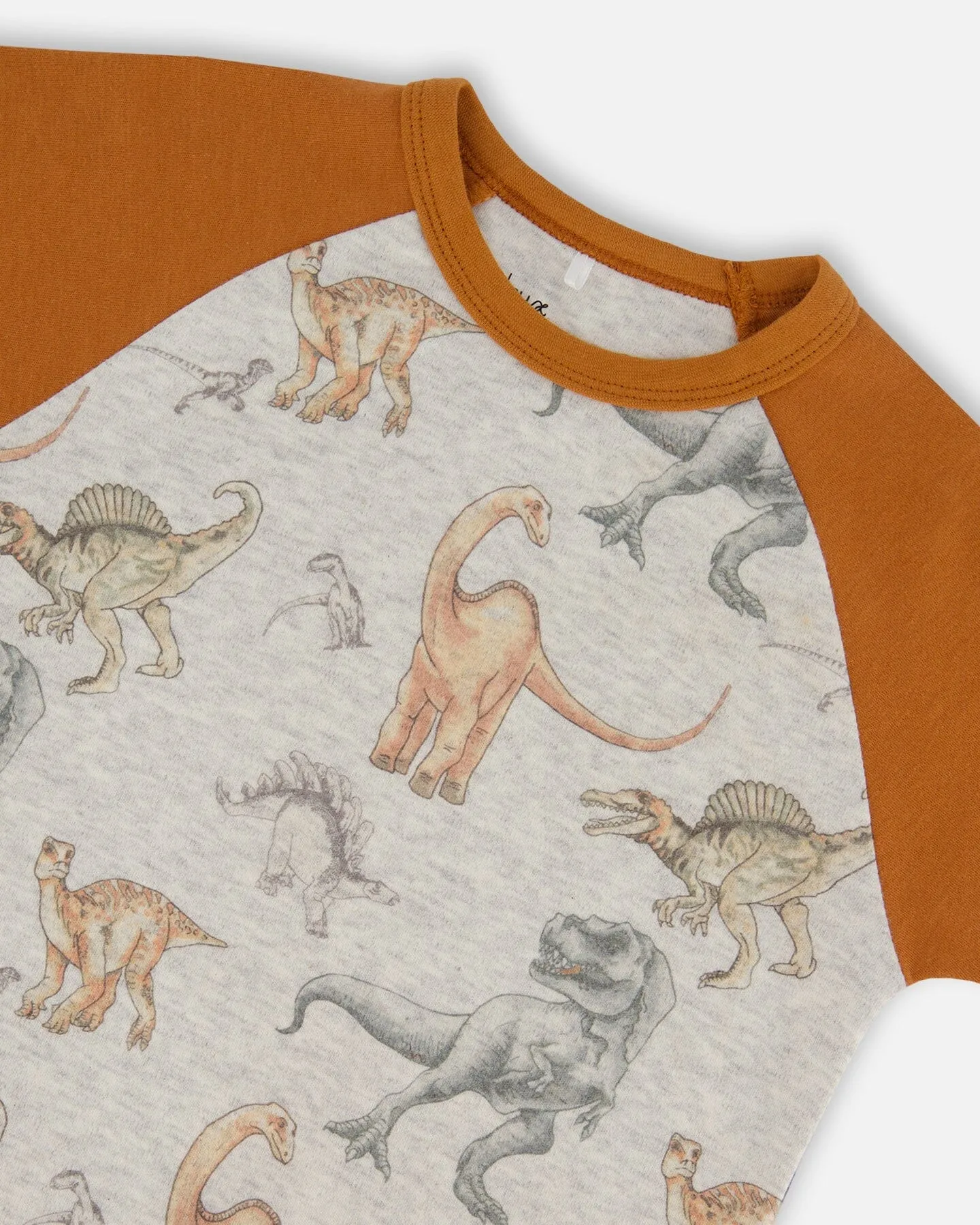Organic Cotton Two-Piece Short Sleeve Top And Pant Pajama Set Dinosaur On Mottled And Tan Background