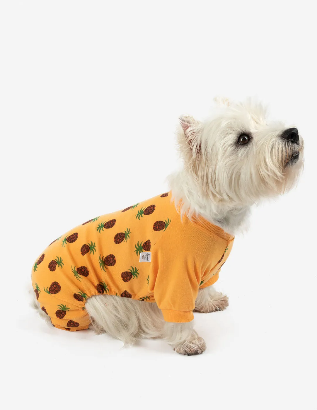 Pineapple Matching Family Pajama Set