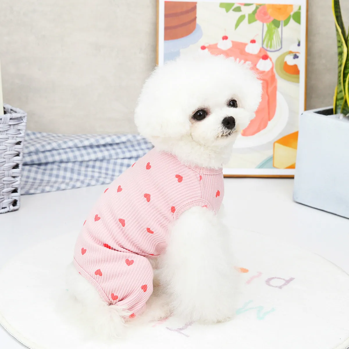 Sweetheart Pet Pajamas