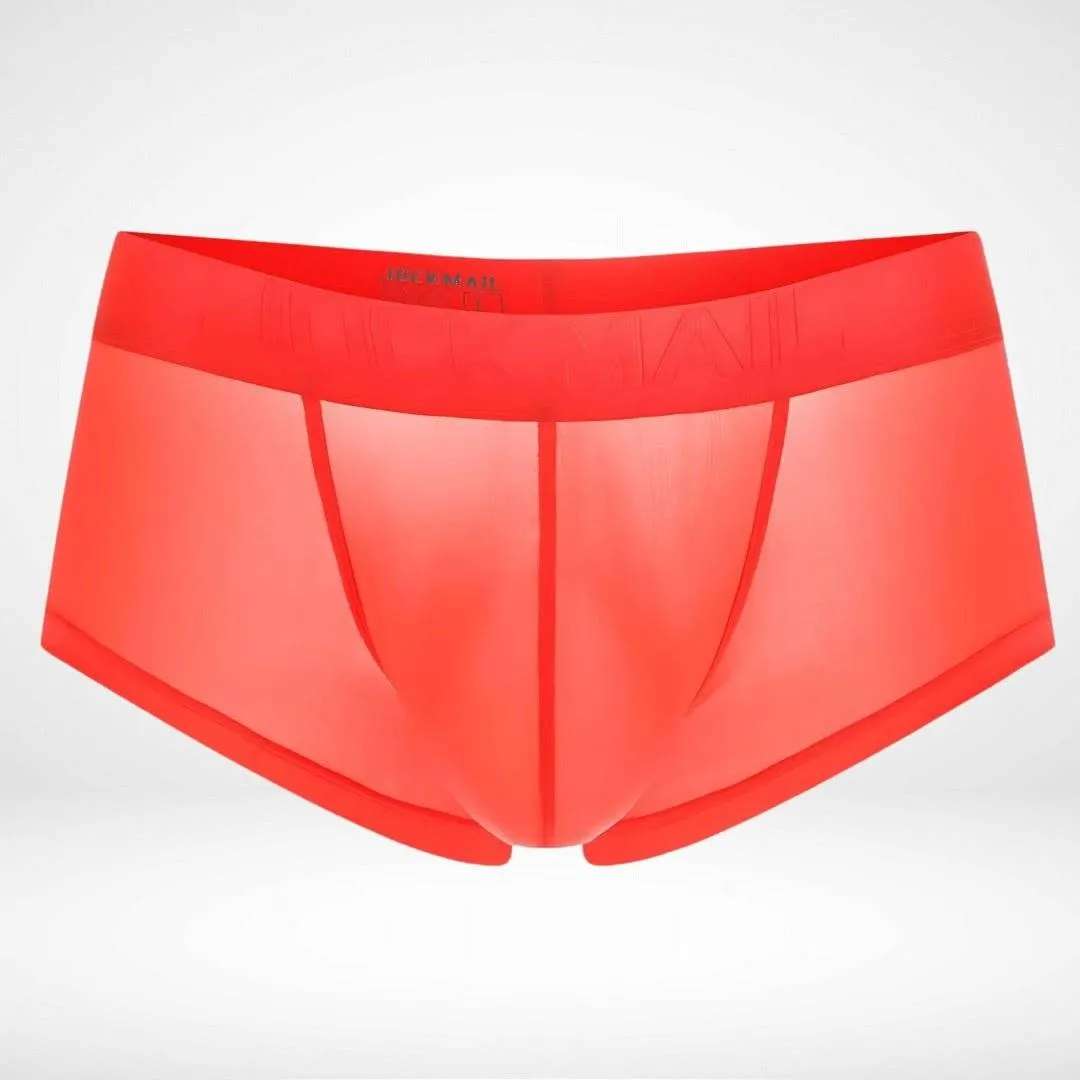 Transparent Ice Silk Boxer Briefs