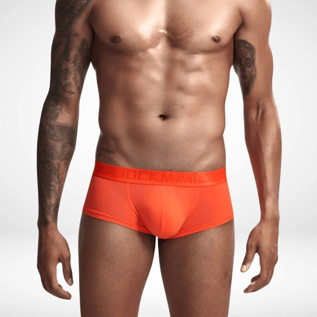 Transparent Ice Silk Boxer Briefs